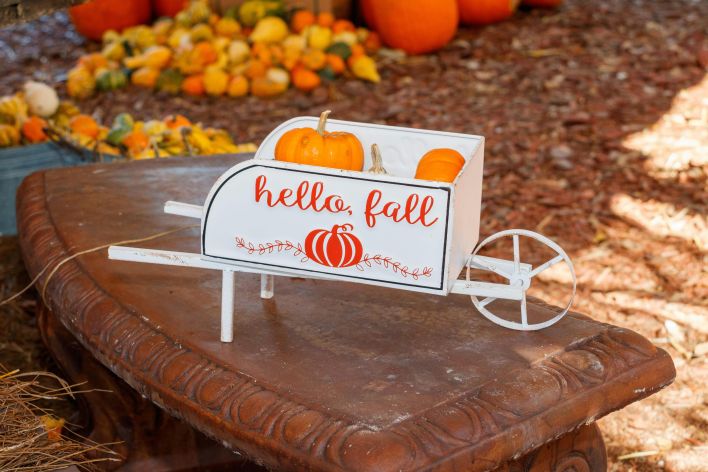 Decorative toy cart with 'hello fall' sign and pumpkins in an autumn setting.